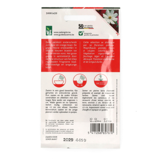 VT Bloemzaden Cosmea | VT 50001459 K170116620 - 3