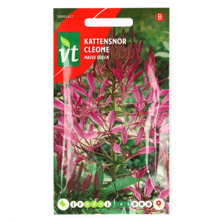 VT Bloemzaden Kattensnor | VT 50001457 K170116623