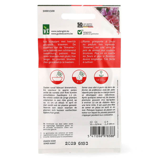 VT Bloemzaden Reukerwt | VT (Gemengd) 50001500 K170116663 - 3