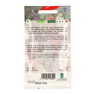 VT Bloemzaden Ridderspoor | VT (Gemengd) 50001509 K170116628 - 3