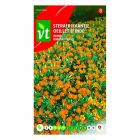 VT Bloemzaden Sterafrikaantje | VT (Oranje) 50001520 K170116630 VT Bloemzaden Sterafrikaantje | VT (Oranje) 50001520 K170116630