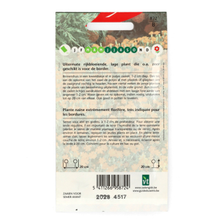 VT Bloemzaden Sterafrikaantje | VT (Oranje) 50001520 K170116630 - 3