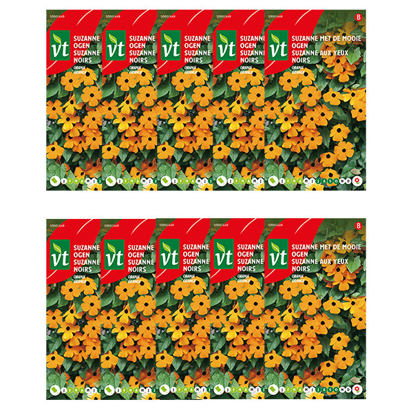VT Bloemzaden Suzanne met de mooie ogen | VT | 10 stuks (Oranje)  W170116631 - 1