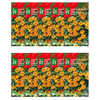 VT Bloemzaden Suzanne met de mooie ogen | VT | 10 stuks (Oranje)  W170116631 - 1