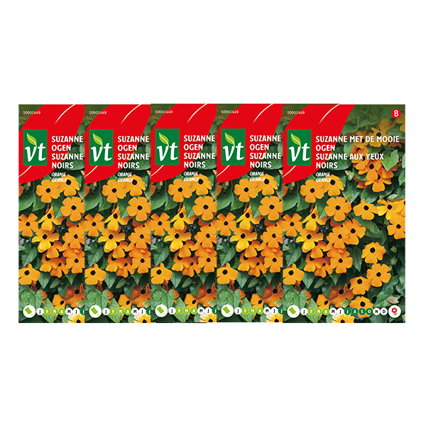 VT Bloemzaden Suzanne met de mooie ogen | VT | 5 stuks (Oranje)  V170116631 - 1