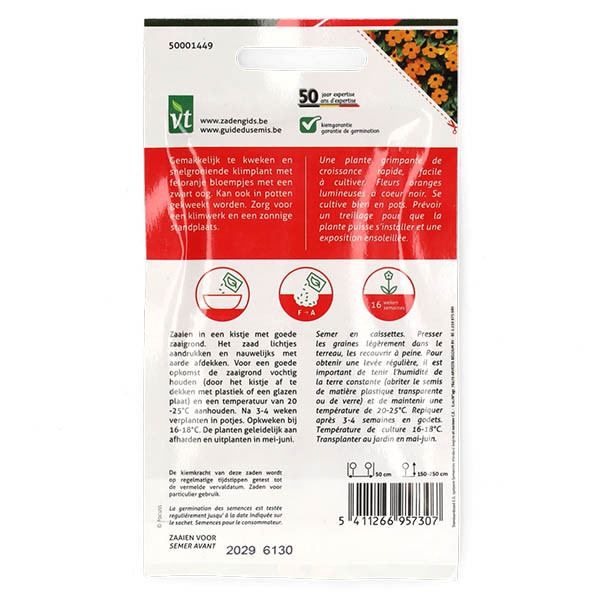 VT Bloemzaden Suzanne met de mooie ogen | VT | 5 stuks (Oranje)  V170116631 - 4