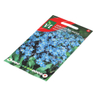 VT Bloemzaden Vergeet-Mij-Nietje | VT (Blauw) 50001523 K170116632 - 2