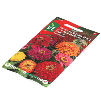 VT Bloemzaden Zinnia | VT (Gemengd) 50001532 K170116636 - 2
