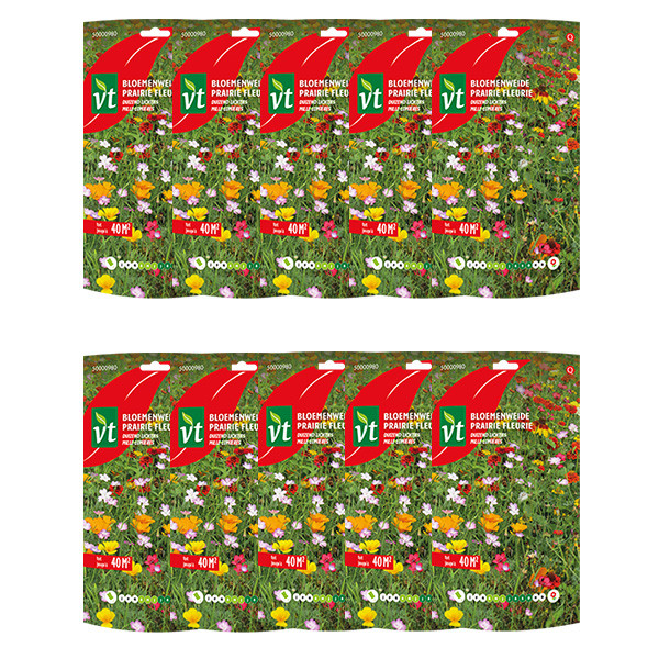 VT Bloemzaden duizend lichtjes | VT | 10 stuks (Meerjarig, 40 m²)  W170116616 - 1