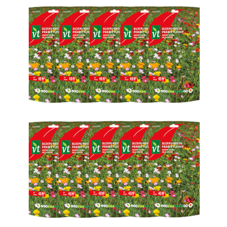 VT Bloemzaden duizend lichtjes | VT | 10 stuks (Meerjarig, 40 m²)  W170116616 - 1