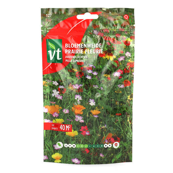 VT Bloemzaden duizend lichtjes | VT | 10 stuks (Meerjarig, 40 m²)  W170116616 - 2