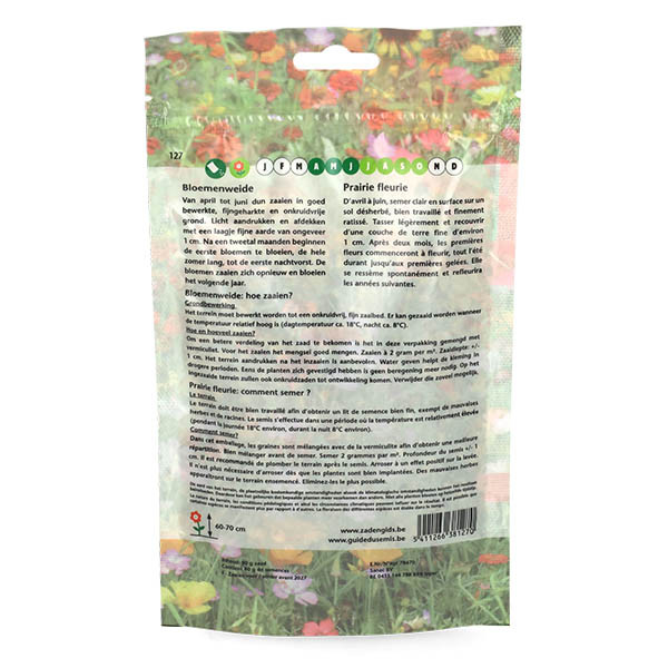 VT Bloemzaden duizend lichtjes | VT | 10 stuks (Meerjarig, 40 m²)  W170116616 - 3