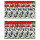 VT Bloemzaden juffertje in het groen | VT | 10 stuks  W170116622 - 1
