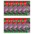 VT Bloemzaden kattensnor | VT | 10 stuks  W170116623 - 1