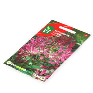 VT Bloemzaden kattensnor | VT | 10 stuks  W170116623 - 3