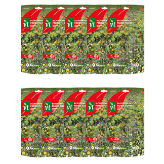 VT Bloemzaden meerjarige bloemen | VT | 10 stuks (40 m²)  W170116617 - 1