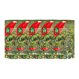 Bloemzaden meerjarige bloemen | VT | 5 stuks (40 m²)