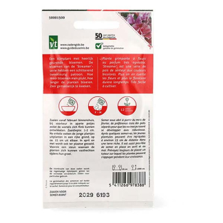 VT Bloemzaden reukerwt | VT | 5 stuks (Gemengd)  V170116663 - 4