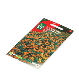 VT Bloemzaden sterafrikaantje | VT | 10 stuks (Oranje)  W170116630 - 3