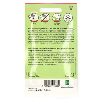 VT Bloemzaden viooltjes | VT | 5 stuks (Gemengd)  V170116633 - 4