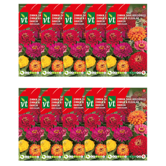 Bloemzaden zinnia | VT | 10 stuks (Gemengd)