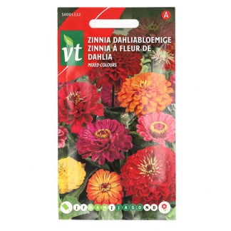 VT Bloemzaden zinnia | VT | 5 stuks (Gemengd)  V170116636 - 2