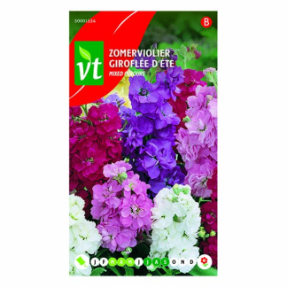 VT Bloemzaden zomerviolier | VT | 5 stuks (Gemengd)  V170116637 - 2