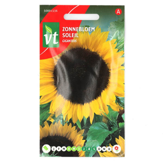 VT Bloemzaden zonnebloem | VT | 10 stuks  W170116638 - 2