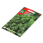 VT Boerenkool zaad | VT 50001369 K170116647 - 2