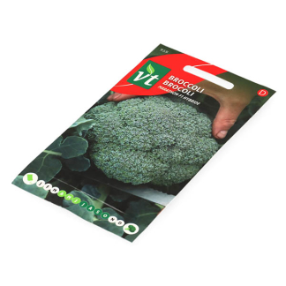 VT Broccolizaad | VT 50001597 K170116648 - 2