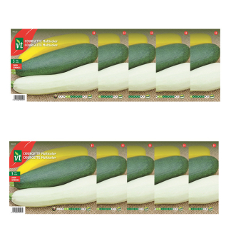 Courgettezaad | VT | 10 stuks (Multicolor)