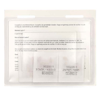 VT Courgettezaad | VT | 10 stuks (Multicolor)  W170116685 - 4
