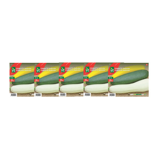 Courgettezaad | VT | 5 stuks (Multicolor)