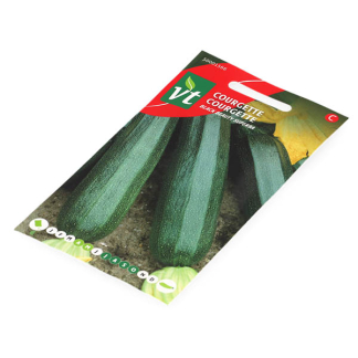 VT Courgettezaad | VT 50001566 K170116649 - 2