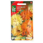 Goudsbloem | VT