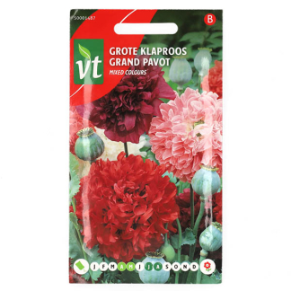VT Klaprooszaad | VT | 10 stuks (Groot)  W170116626 - 2