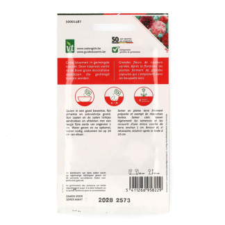 VT Klaprooszaad | VT | 10 stuks (Groot)  W170116626 - 4