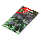 VT Komkommerkruid zaad | VT | 5 stuks  V170116693 - 3