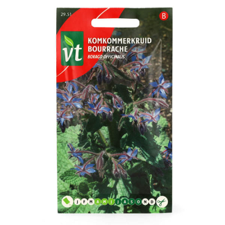 VT Komkommerkruid zaad | VT 50001221 K170116693