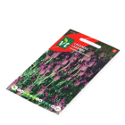 VT Lavendel zaad | VT | 10 stuks  W170116696 - 3