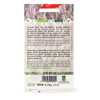 VT Lavendel zaad | VT | 10 stuks  W170116696 - 4