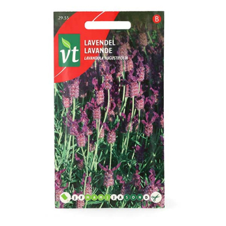VT Lavendel zaad | VT | 5 stuks  V170116696 - 2