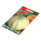 VT Meloenzaad | VT | 5 stuks (Charentais)  V170116653 - 3