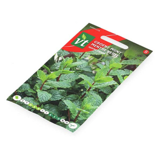 VT Munt zaad | VT | 10 stuks (Pepermunt)  W170116692 - 3
