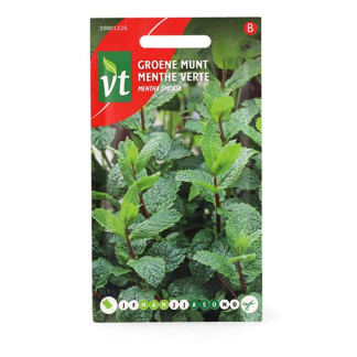 VT Munt zaad | VT | 5 stuks (Pepermunt)  V170116692 - 2