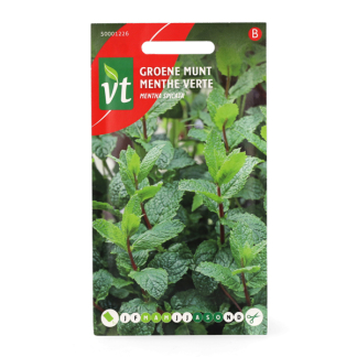 VT Munt zaad | VT (Pepermunt) 50001226 K170116692