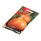 VT Pompoenzaad | VT | 5 stuks (Hokkaido)  V170116658 - 3