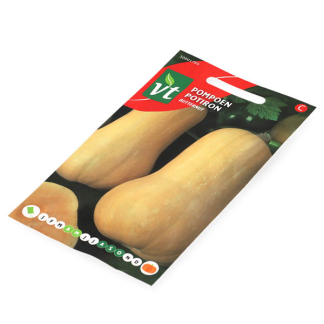 VT Pompoenzaad | VT (Flespompoen) 50001789 K170116657 - 2