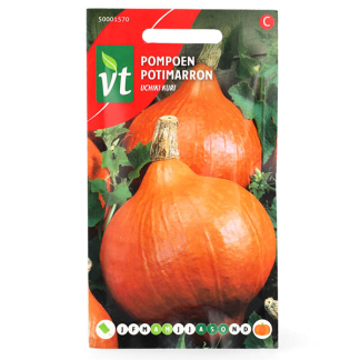 VT Pompoenzaad | VT (Hokkaido) 50001570 K170116658