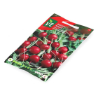 VT Radijszaad  | VT | 5 stuks (Rood)  V170116661 - 3